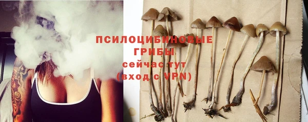 MESCALINE Корсаков
