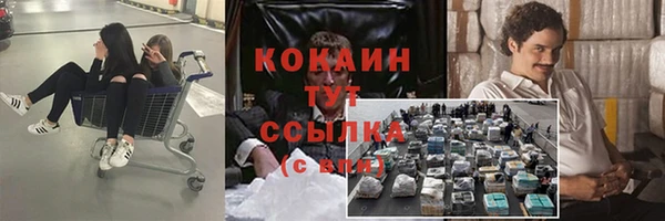 твердый Краснослободск
