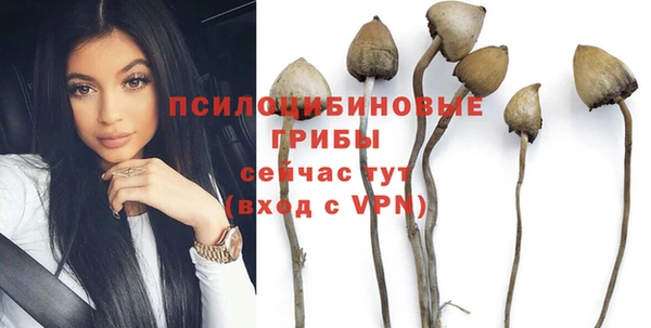 MESCALINE Корсаков