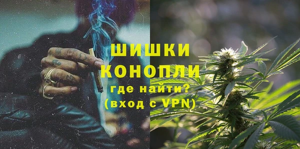 твердый Краснослободск