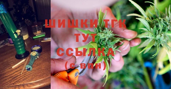твердый Краснослободск