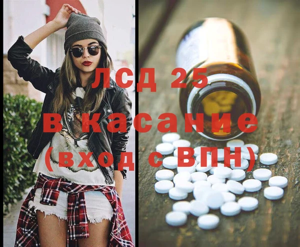 твердый Краснослободск