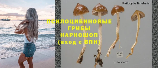 mdpv Костерёво
