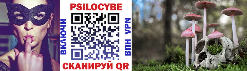 наркотики  Талица  Галлюциногенные грибы мухоморы 